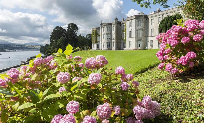 A historic mansion overlooking a river, with pink hydrangea flowers in the foreground and rolling green lawns under a partly cloudy sky.